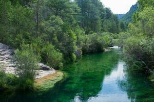 fredlig landskap med flod och grön skog. peralejos de las truchas. foto