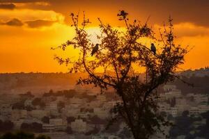 fåglar på de träd i jerusalem. ai generativ foto