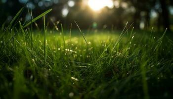 färsk grön äng tillväxt i sommar solljus genererad förbi ai foto