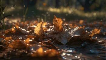 vibrerande höst lönn löv faller i solljus genererad förbi ai foto