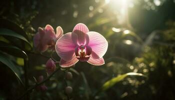 vibrerande rosa orkide blomma i lugn trädgård genererad förbi ai foto