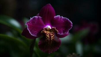 exotisk fjäril orkide blooms med delikat elegans genererad förbi ai foto