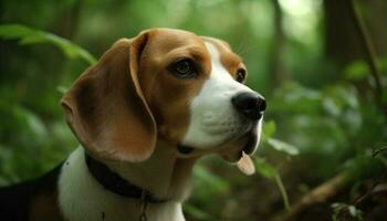 söt beagle valp Sammanträde i grön gräs genererad förbi ai foto