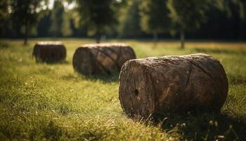 Sol kysste hö balar punkt lantlig landskap genererad förbi ai foto