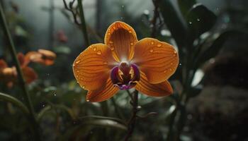 enda rosa orkide blomma, våt med dagg genererad förbi ai foto