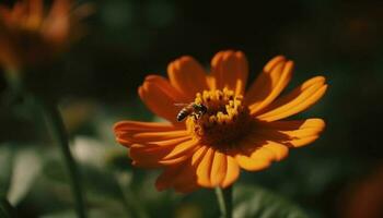 upptagen honung bi pollinerar vibrerande vild blomma äng genererad förbi ai foto