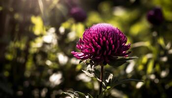 vibrerande blåklint bukett, en enda blomma i fokus, natur skönhet genererad förbi ai foto