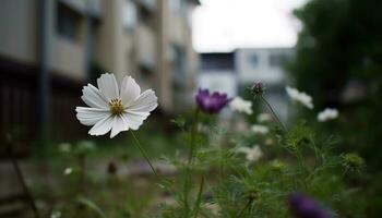 färsk kamomill blomma i äng, omgiven förbi mång färgad vild genererad förbi ai foto