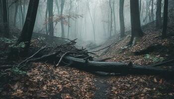mystisk höst skog, läskigt skönhet i natur, lugn vildmark scen genererad förbi ai foto