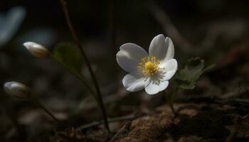 färsk gul kronblad av en enda blomma i en äng genererad förbi ai foto