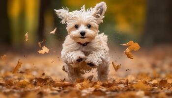 lekfull terrier valp löpning i höst skog, renrasig skönhet i natur genererad förbi ai foto