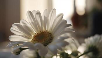 gul daisy blomma, skönhet i natur, fokus på förgrund genererad förbi ai foto