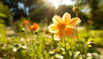 vibrerande vild blomma äng i lantlig landskap på soluppgång, färsk skönhet genererad förbi ai foto