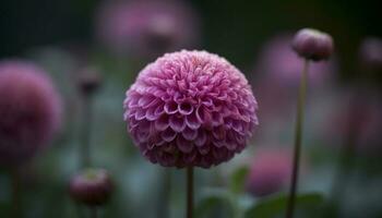 vibrerande daisy bukett ställer ut organisk skönhet i natur mönster genererad förbi ai foto