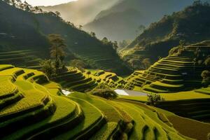 grön terrasserad ris fält. ai generativ foto