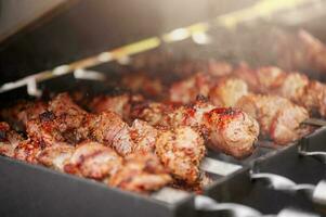 fläsk är kokta i kryddor på de grill. friterad kött, shish kebab. foto