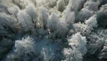 frostig vinter- landskap med frysta träd och snö täckt äng genererad förbi ai foto