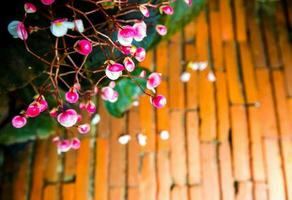 liten rosa blomma och det röda tegelgolvet foto