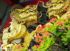guld drake skulptur och röd blomma av Kristus tagg i kinesiska religiösa platser foto