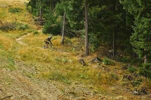 cyklist i de bergen mellan barrträd foto