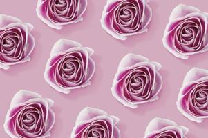 rosa ros blommor mönster på rosa bakgrund foto
