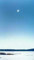 vertikal bild, tredje fjärdedel halvmåne måne i kall blå Färg himmel med vit snölandskap, is sjö och tall skog, skymning, arktisk cirkel zon, natur tapet bakgrund foto