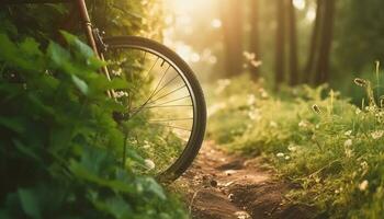 skog natur landskap med cykel hjul scen generativ ai foto