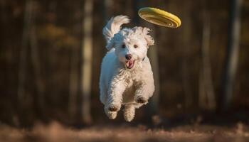 liten hund spelar i de parkera generativ ai foto