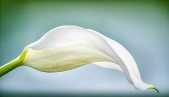 vit orkide knopp, delikat kronblad, elegans i tropisk klimat genererad förbi ai foto