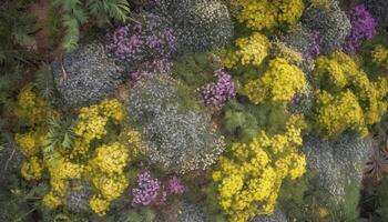 mång färgad blomma huvuden blomma i äng, visa upp natur skönhet genererad förbi ai foto