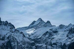 först berg i grindelwald med alpina visningar schweiz. foto