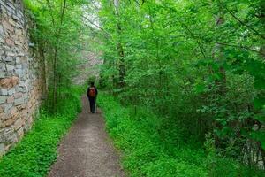 kvinna vandrare gående längs de skog spår foto