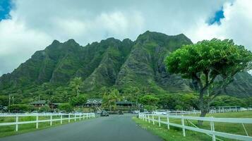 gata scener på ö av oahu hawaii foto