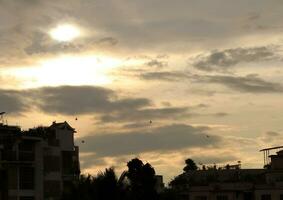 fri fågel njuter natur på solnedgång bakgrund, hoppas begrepp foto