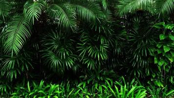 tropiskt grönt blad