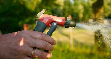 person innehav slang spray pistol. besprutning vatten. vattning de växter i de trädgård. foto