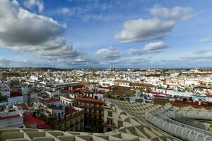 svamp av sevilla - Sevilla, Spanien foto