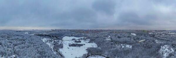 kurkino natur parkera - Moskva, ryssland foto