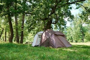 campimg tält i tall skog i en sommar dag. turist läger foto