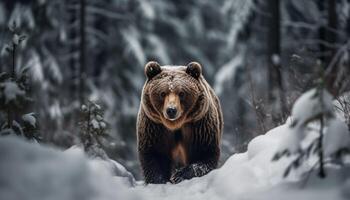 majestätisk grizzly Björn gående på snöig gren genererad förbi ai foto