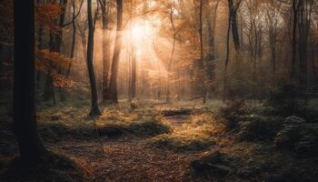 höst dimma filtar lugn skog, mystisk skönhet genererad förbi ai foto