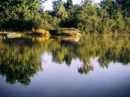 reflektion av träd i sjön foto