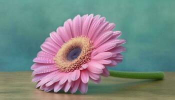 vibrerande gerbera daisy bukett, en gåva av kärlek och skönhet genererad förbi ai foto