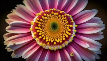 en vibrerande gul gerbera daisy i blomma utomhus genererad förbi ai foto