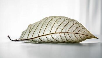 symmetrisk blad vener skapa organisk mönster på vit bakgrund genererad förbi ai foto