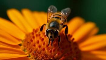 en upptagen honung bi plockar upp pollen från en gul blomma genererad förbi ai foto