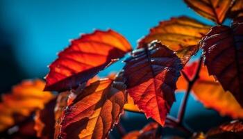 vibrerande höst lövverk på japansk lönn gren, stänga upp skönhet i natur genererad förbi ai foto