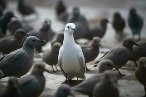 grupp av seagulls på de strand, selektiv fokus. stående ut från de folkmassan, en vit fågel stående ut från andra, ai genererad foto