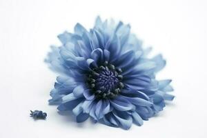 blå blomma isolerat på vit bakgrund, png med genomskinlighet , generera ai foto