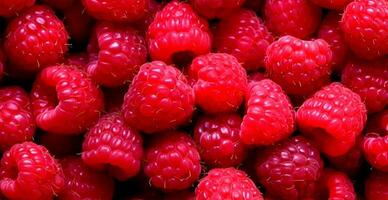 eco hallon. makro av färsk organisk naturlig bär. frukt röd bakgrund - ai genererad bild foto